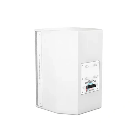 Купить CVGAUDIO BS808TW по выгодной цене в Сочи