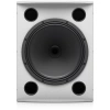 Купить TANNOY VX 15HP-WH по выгодной цене в Сочи