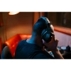 Купить Sennheiser HD 300 PROtect по выгодной цене в Сочи