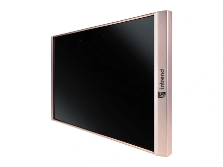 Купить Intrend ICS-IR-TX по выгодной цене в Сочи