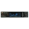 Купить DP Technology DP-200 INSTRUMENTAL по выгодной цене в Сочи