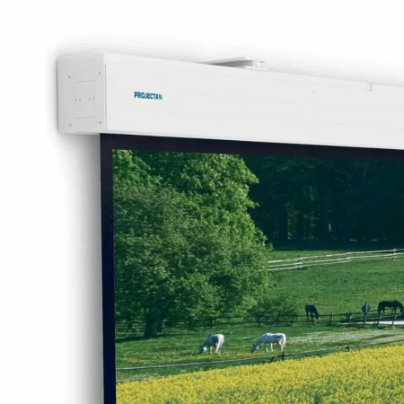 Купить Projecta Elpro Large Electrol 176 по выгодной цене в Сочи