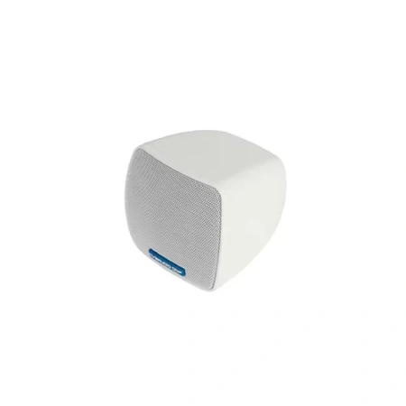 Купить CVGAUDIO ODF308W по выгодной цене в Сочи