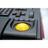Купить PSL Lighting PSL-GM-2-2 по выгодной цене в Сочи