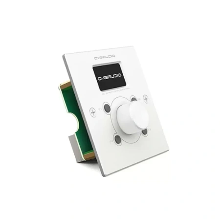 Купить CVGAUDIO ERC-2W по выгодной цене в Сочи