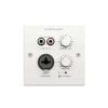 CVGAUDIO PW-IN/W