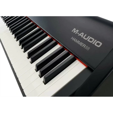 Купить M-audio Hammer 88 по выгодной цене в Сочи