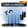 Купить Октава OWS-U2200L01-A по выгодной цене в Сочи