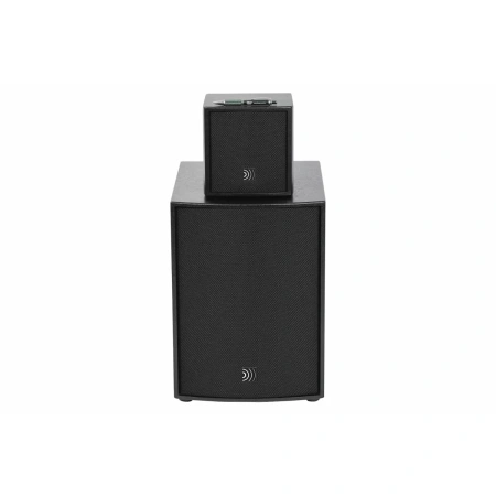 Купить DS Proaudio ANT по выгодной цене в Сочи