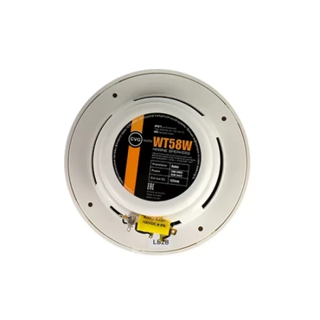 Купить CVGAUDIO WT58W по выгодной цене в Сочи