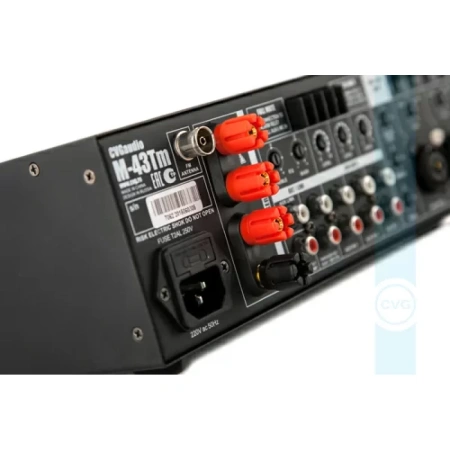 Купить CVGAUDIO M-43Tm по выгодной цене в Сочи