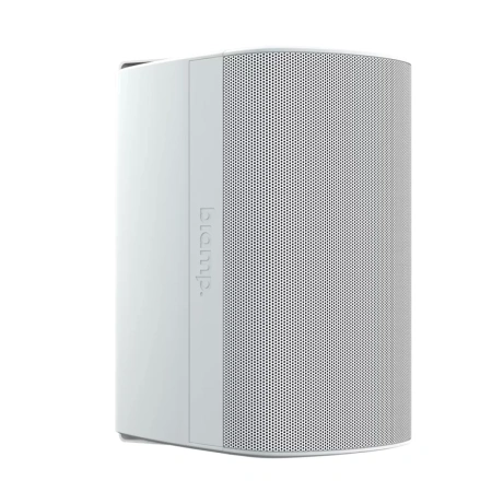 Купить Biamp Desono DX-S8-UB-W White по выгодной цене в Сочи