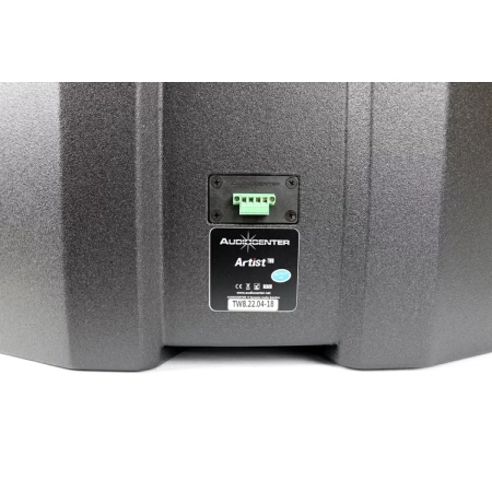 Купить Audiocenter Artist TW8 по выгодной цене в Сочи