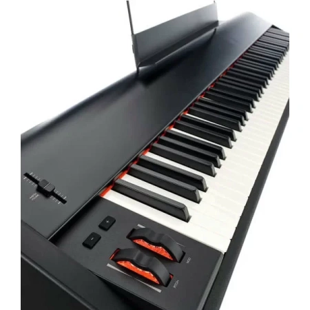 Купить M-audio Hammer 88 по выгодной цене в Сочи
