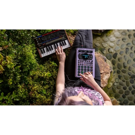 Купить ROLAND SP-404MKII по выгодной цене в Сочи