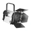Купить ANZHEE PRO Spectrum Fresnel F 300 по выгодной цене в Сочи